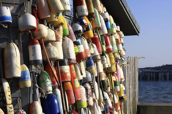 Cape Cod Buoys Art Print featuring the photograph Cape Cod Buoys by Darius Aniunas