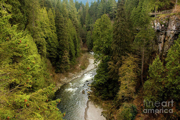 Capilano River Art Print featuring the photograph Capilano River by Ivete Basso Photography