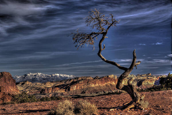 Utah Landscapes Art Print featuring the photograph Capitol Reef Loner by Wendell Thompson