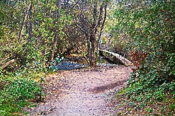 Oil-painting Art Print featuring the photograph Carmel River Footbridge At Garland Ranch Oil by Joyce Dickens