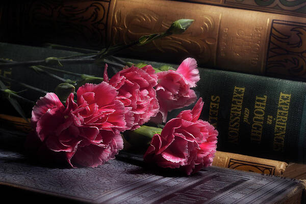 Carnations Art Print featuring the photograph Carnation Series 1 by Mike Eingle
