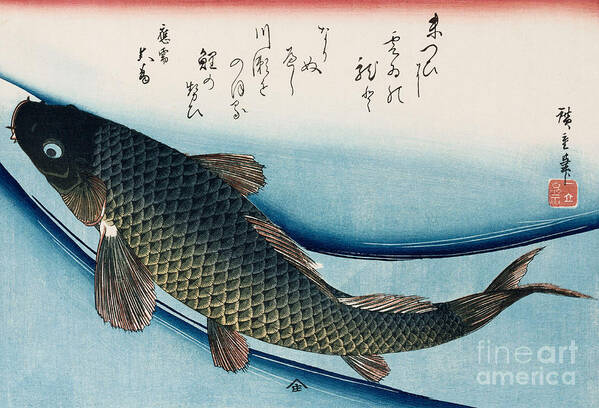 Carp Art Print featuring the painting Carp by Hiroshige