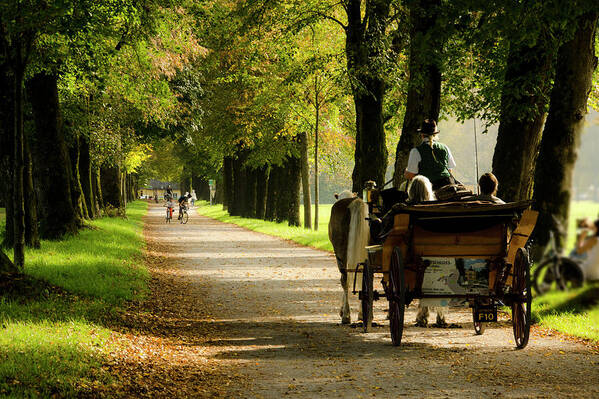 Carriage Art Print featuring the photograph Carriage ride in Hellbrunn by Wolfgang Stocker