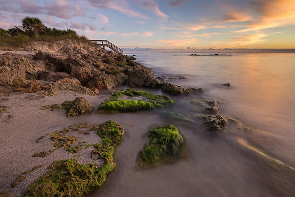 Florida Art Print featuring the photograph Caspersen Beach Sunset 2 by Paul Schultz