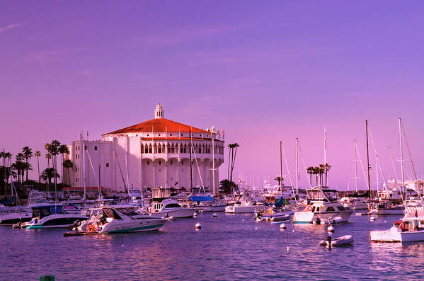 Catalina Art Print featuring the photograph Catalina Casino by Marie Hicks