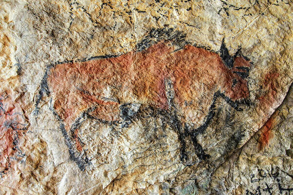 Bull Art Print featuring the photograph Cave painting in prehistoric style by Michal Boubin