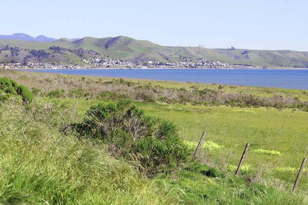Cayucos Art Print featuring the photograph Cayucos Coastline - California by Art Block Collections