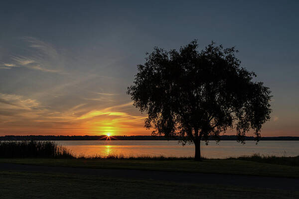 Sunrise Art Print featuring the photograph Cayuga Lake Sunrise by Rod Best