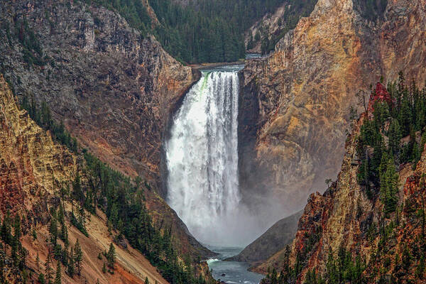 Falls Art Print featuring the photograph Lower Yellowstone Falls by Lynn Sprowl