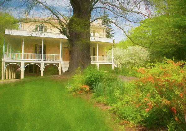 Thomas Cole Art Print featuring the photograph Cedar Grove in Spring by Nancy De Flon