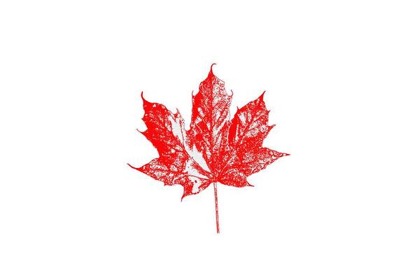 Red Art Print featuring the photograph Celebrate Canada 150 Maple Leaf by Marlin and Laura Hum