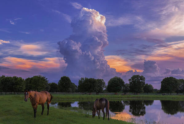 Ladscape Art Print featuring the photograph Central Florida Summer by Justin Battles