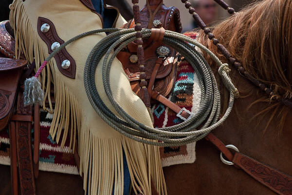 Rodeo Art Print featuring the photograph Chaps and Rope by Roger Mullenhour