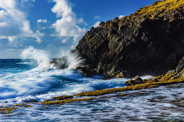 Water Art Print featuring the photograph Chasing the Surf by Amanda Jones