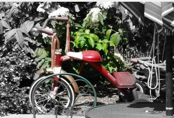 Tricycle Art Print featuring the photograph Childhood by Deborah Kunesh