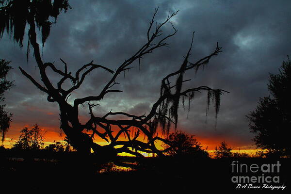 Florida Sunset Art Print featuring the photograph Chilling Sunset by Barbara Bowen