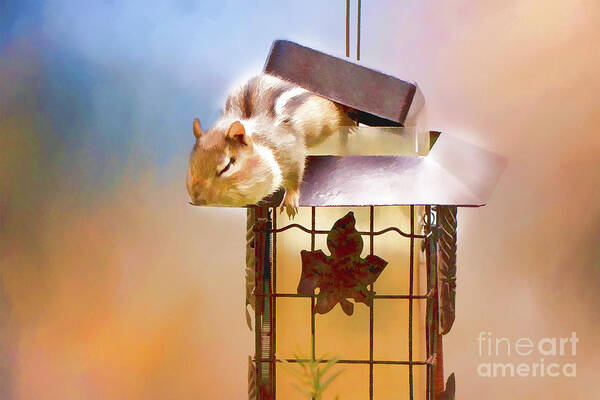 Chipmunk Art Print featuring the photograph Chipmunk at the Feeder 3 Nursery triptych by Eleanor Abramson