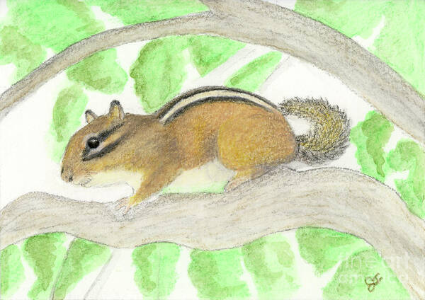 Chipmunk Art Print featuring the painting Chipmunk in the Apple Tree by Jackie Irwin