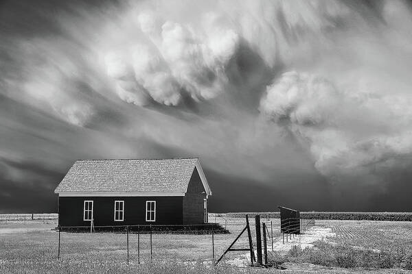 Severe Weather Art Print featuring the photograph Clarendon Lion by Scott Cordell