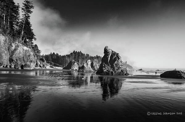 Ruby Beach Art Print featuring the photograph Clear Day At Ruby Beach by Cassius Johnson