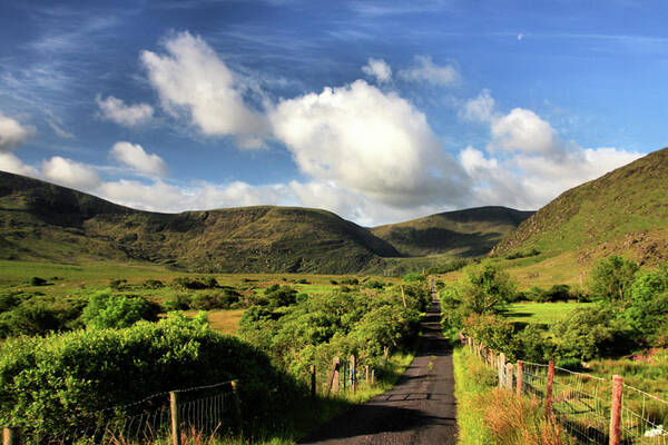  Art Print featuring the photograph Cloghane Road to Lake by Mark Callanan