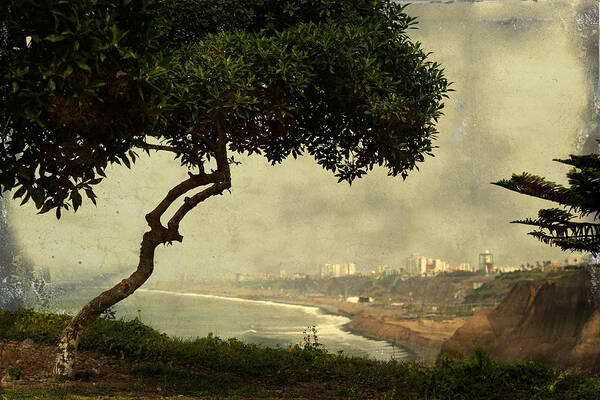 Lima Art Print featuring the photograph Coastline of Lima, Peru by Kathryn McBride