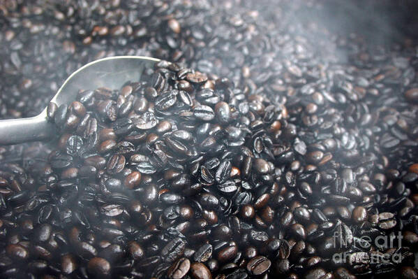Food And Beverage Art Print featuring the photograph Coffee Beans Roasting by Balanced Art