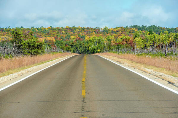 Landscape Art Print featuring the photograph Color At Roads End by Paul Johnson