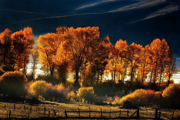 Autumn Art Print featuring the photograph Colorado Autumn Morning by Andrew Soundarajan