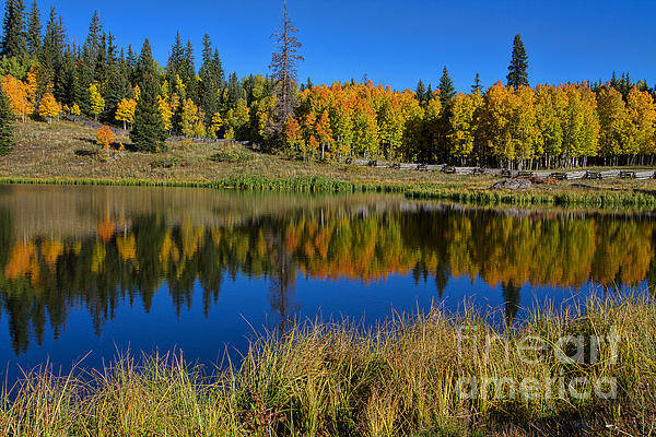 Autumn Reflection Art Print featuring the photograph Colorado Autumn Morning by Jim Garrison
