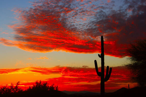 Sunsets Art Print featuring the photograph Colorful Arizona Sunset by James BO Insogna