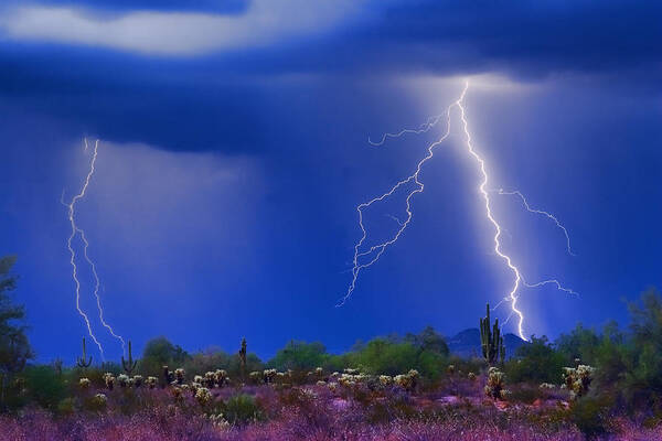 Arizona; Az; Desert; Cactus; Saguaro; Blue; Purple; Lightning; Lightening; Chasers; Lightning Poster; Lightning Photography; Lightning Gallery; Picture Of Lightning; Lightning Storm Pictures; Pictures Of Storm Clouds And Lightning; Lightning Art; Art Print featuring the photograph Colorful Sonoran Desert Storm by James BO Insogna