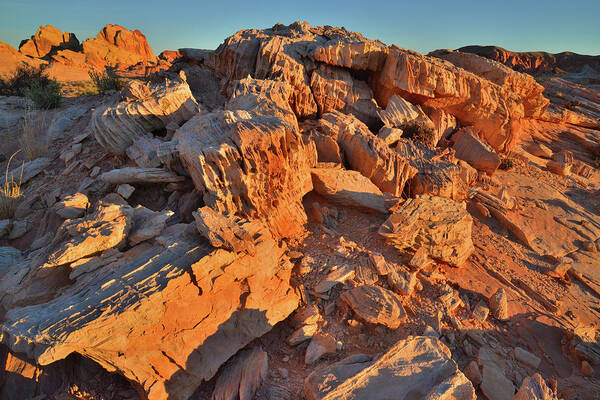 Valley Of Fire State Park Art Print featuring the photograph Colorful Sunrise on Valley of Fire by Ray Mathis