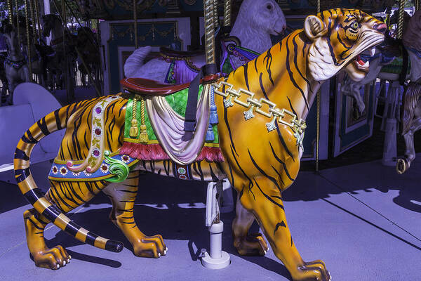 Tiger Art Print featuring the photograph Colorful Tiger Ride by Garry Gay