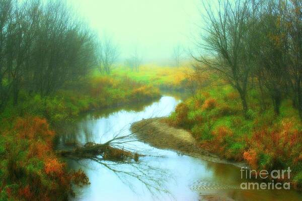 River Art Print featuring the photograph Colors of Fall by Julie Lueders 