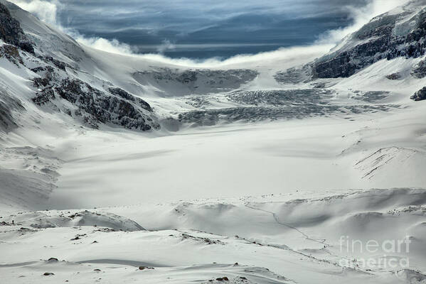 Columbia Icefield Art Print featuring the photograph Columbia Icefield Winter Paradise by Adam Jewell