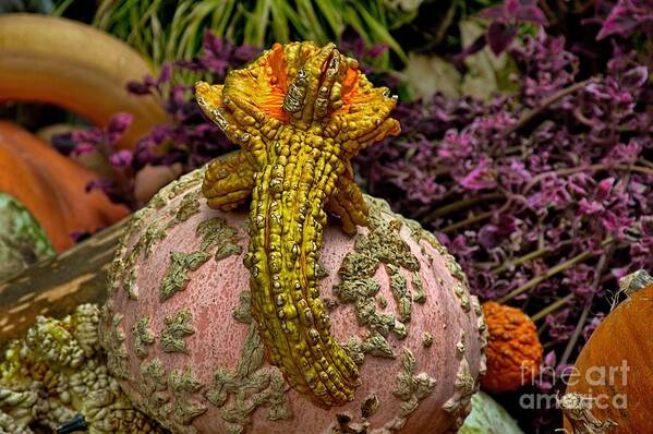 Squash Art Print featuring the photograph Coming to Get You by Diana Mary Sharpton