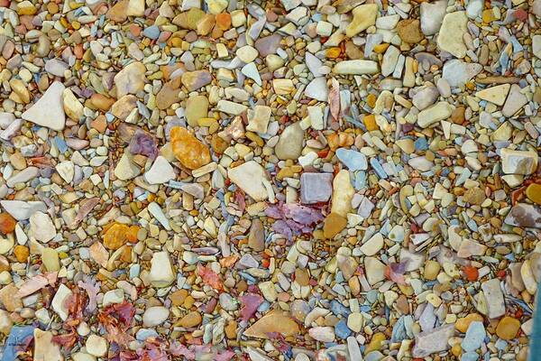 Rocks Art Print featuring the photograph Community of Color by Tim Mattox