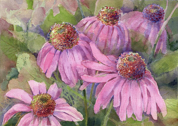 Coneflower Art Print featuring the painting Coneflower by Garden Gate