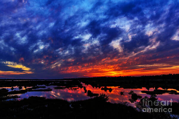 Sunset Art Print featuring the photograph Contrast by DJA Images