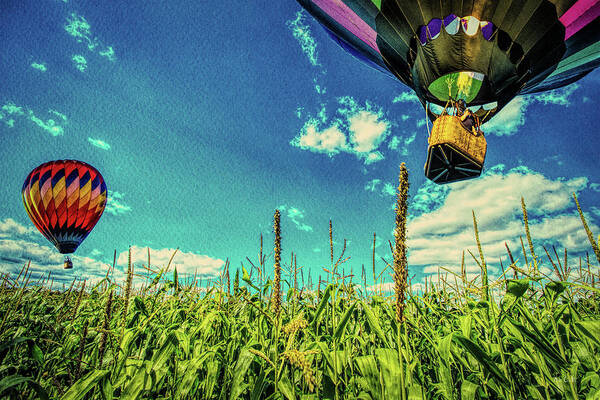  Farmland Art Print featuring the photograph Cornfield View Hot Air Balloons by Bob Orsillo