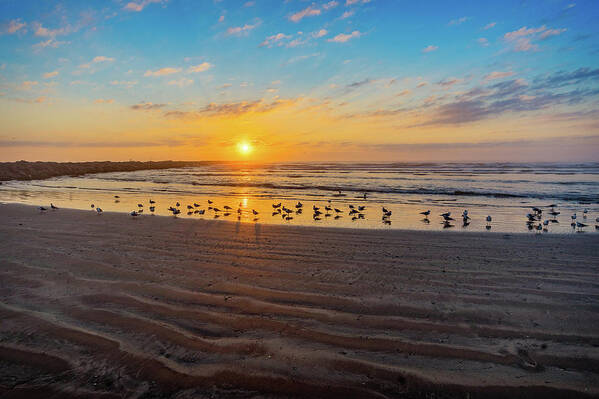 Beach Art Print featuring the photograph Coastal Sunrise by Dave Files