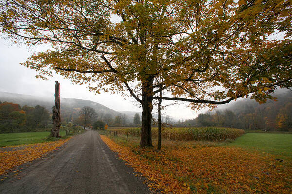 Country Fall Trees Field Road Drive Mountains Mountain Art Print featuring the photograph Country Road by Robert Och