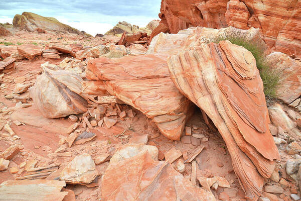 Valley Of Fire State Park Art Print featuring the photograph Cove of Sandstone Shapes in Valley of Fire by Ray Mathis