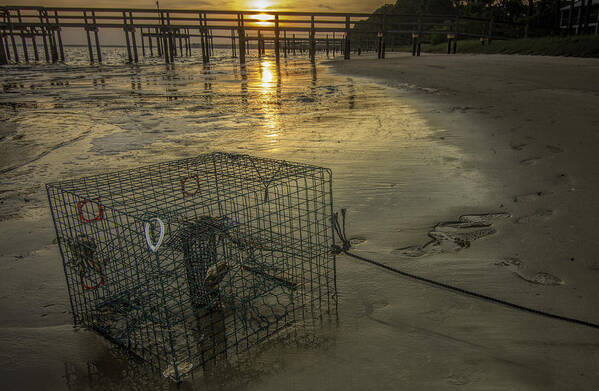 Crabtrap Art Print featuring the photograph Crabtrap at Dusk by Dorothy Cunningham