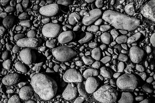 Rocks Art Print featuring the photograph Creek Exposed by Michael Brungardt