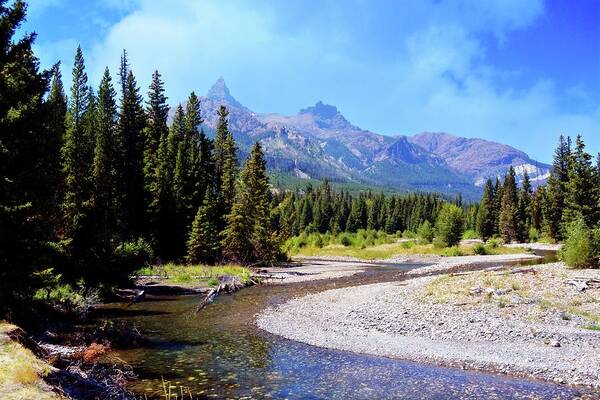 Beartooth Mountains Art Print featuring the photograph Creek in the Beartooths by Marty Koch