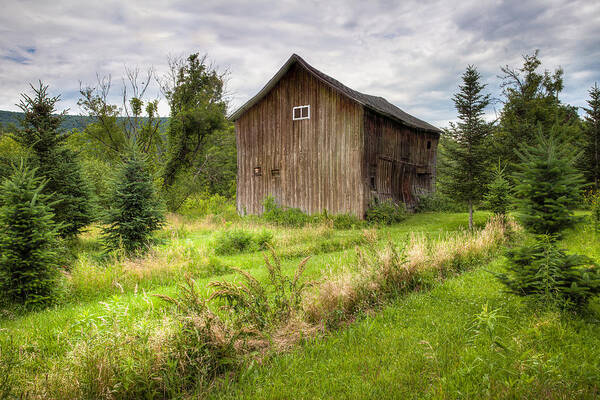Old Barns Art Print featuring the photograph Crooked Old Barn on South 21 - Finger Lakes New York State by Gary Heller