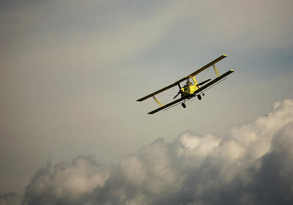 Sky Art Print featuring the photograph Crop Duster by Bob Cournoyer