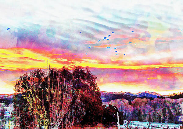 Clouds Art Print featuring the photograph Crows Over Pre Dawn El Valle by Anastasia Savage Ealy